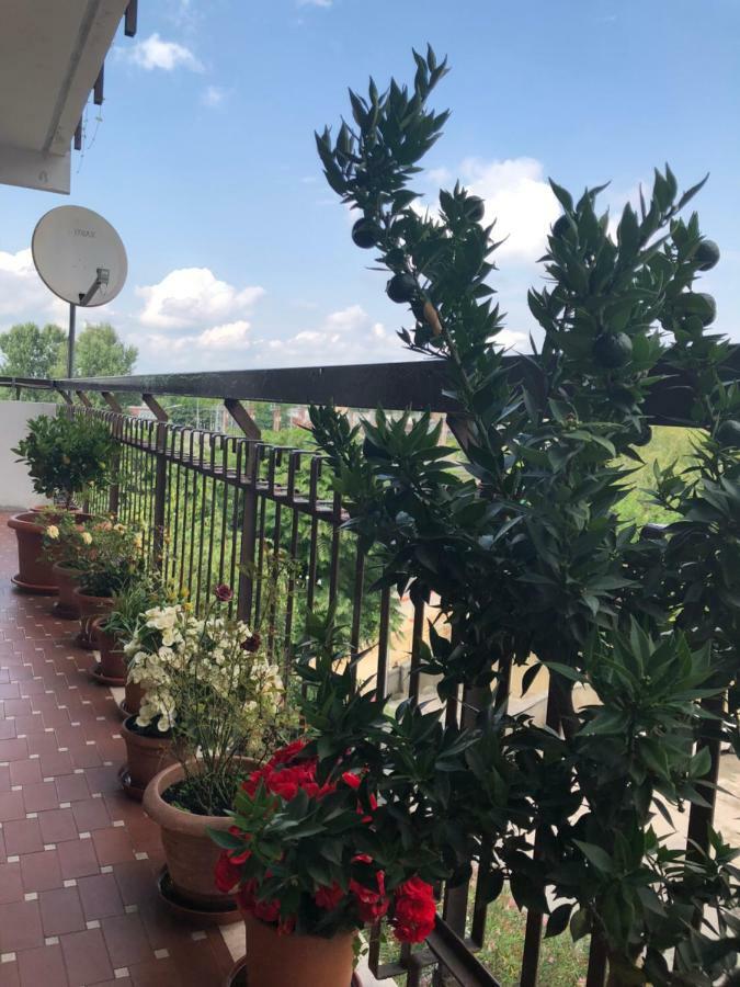 Venice H.S.Garden Marghera Bagian luar foto